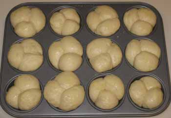Cloverleaf rolls rising before baking.